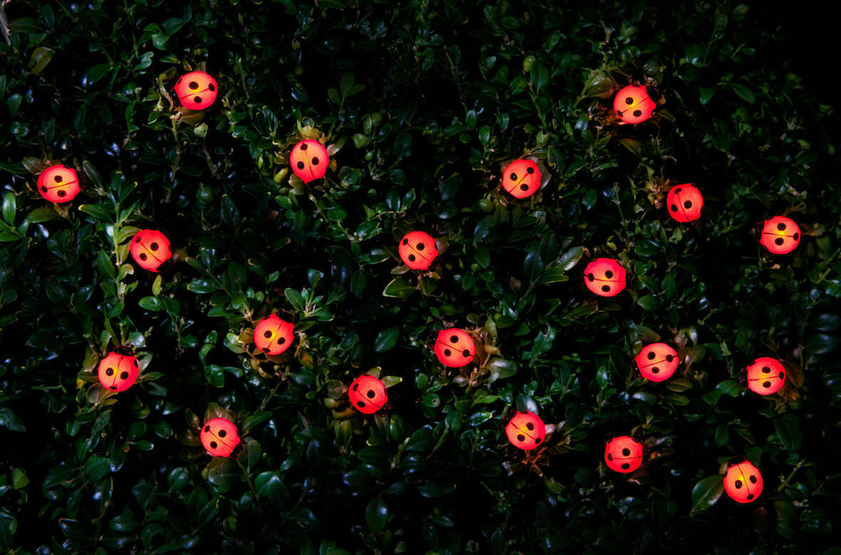 30 LED Solar Power Insect Lights Bees Ladybird String Garden Trees Decoration