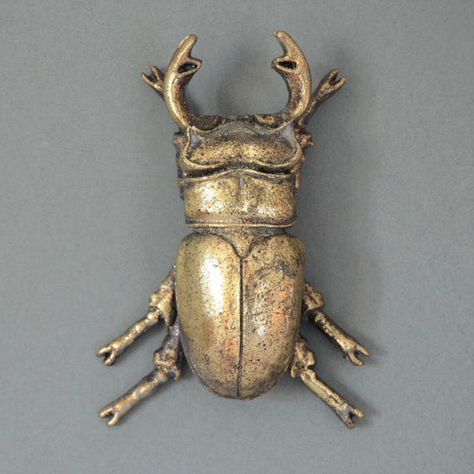 Steampunk Gold Finished Stag Beetle Wall Art Hanging Insect Bug Ornament Décor