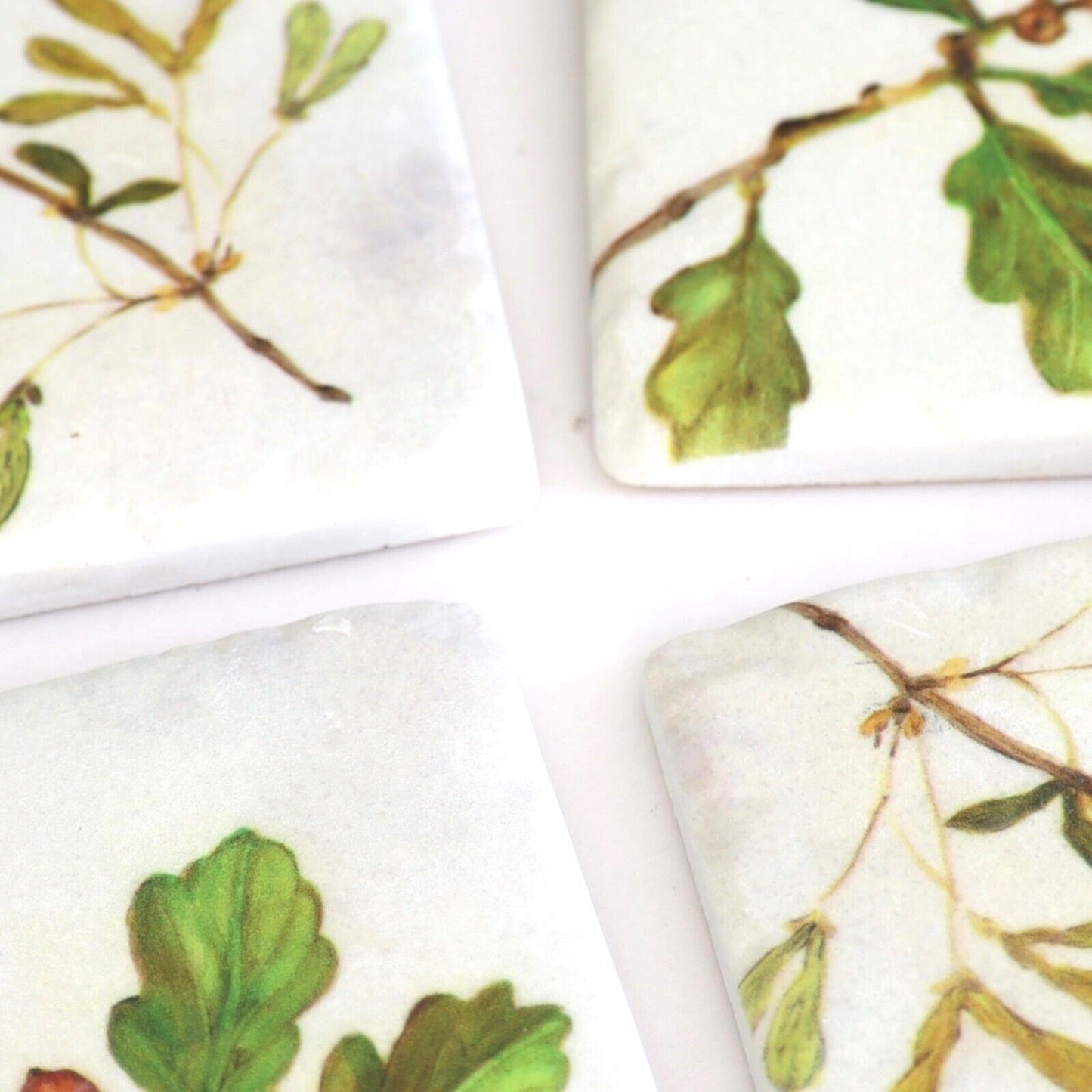 Ceramic Coasters Set of 4 Oak Tree Cork Backed Coasters Table Decor Mats