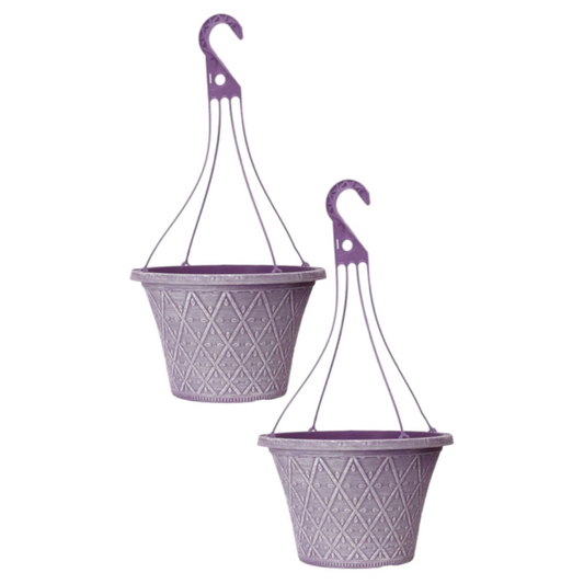 2Pc 30cm 12In Hanging Basket Purple Raisin  Outdoor Planter Deco Outdoor Pot