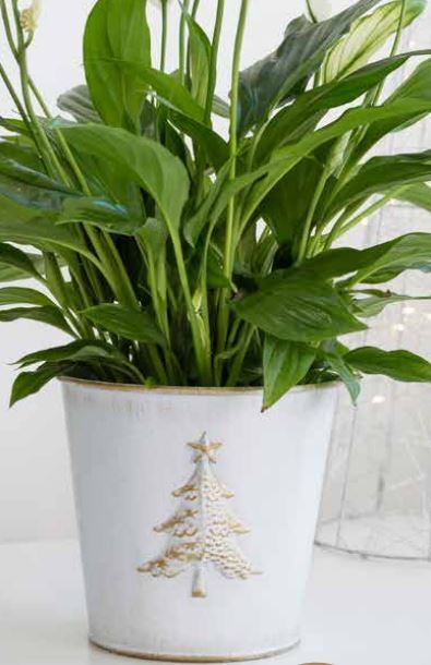 2Pc Metal Christmas 15cm Tree Embossed Plant Pot Tin Pail Planter Gold White