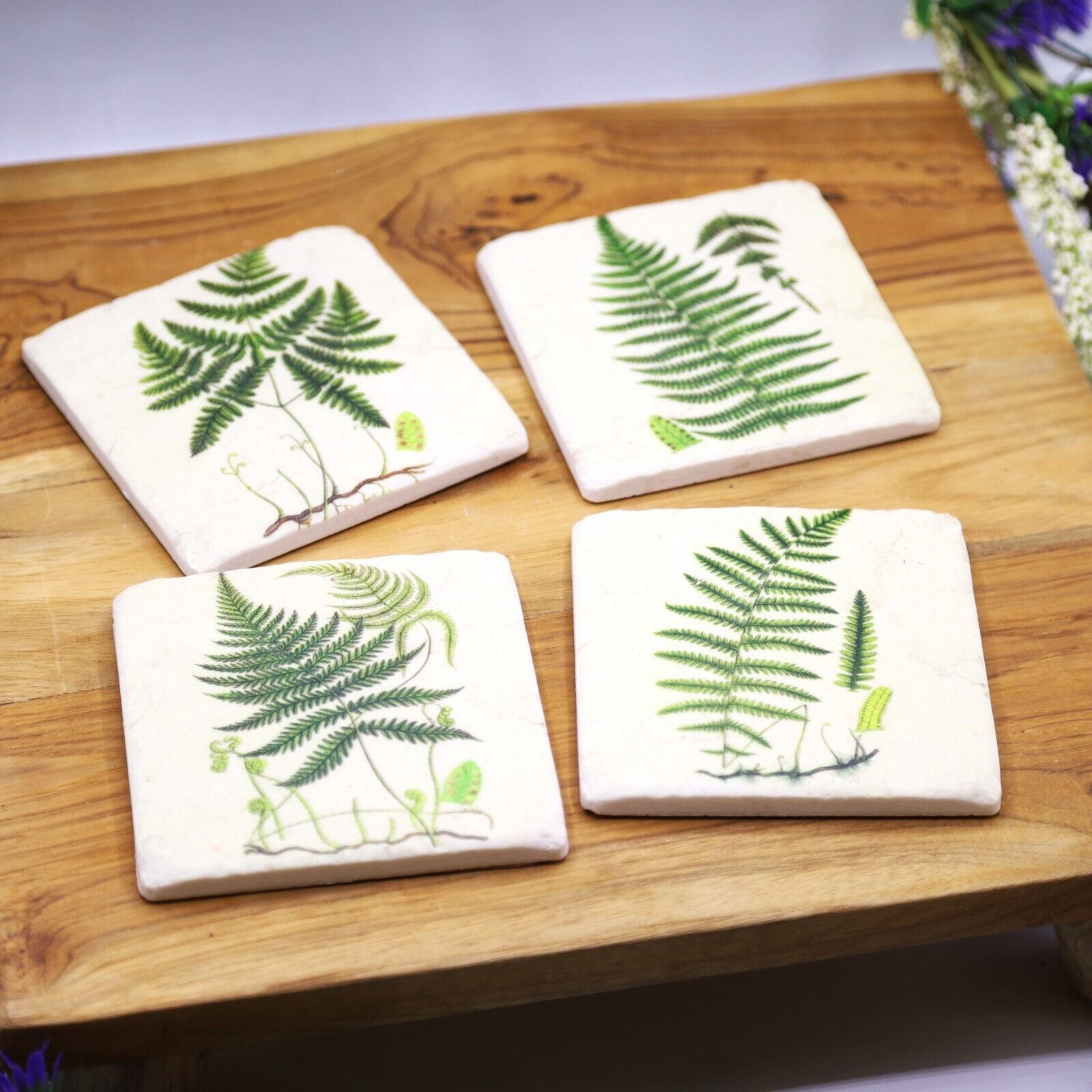 Ceramic Coasters Set of 4 Fern Botanical Cork Backed Coasters Table Mats