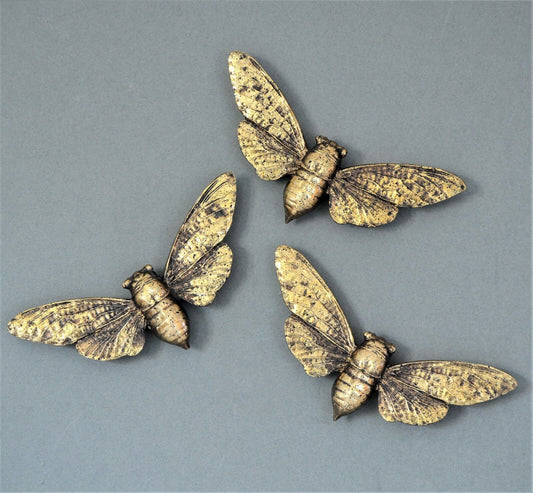 3pc Steampunk Gold Finished Bee Wings Wall Hanging Insect Bug Ornament Décor