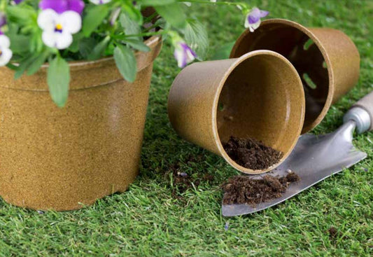 10.5cm Growing Biodegradable Fibre Pots Round Plant Seed Seedling Pots Seed Pots