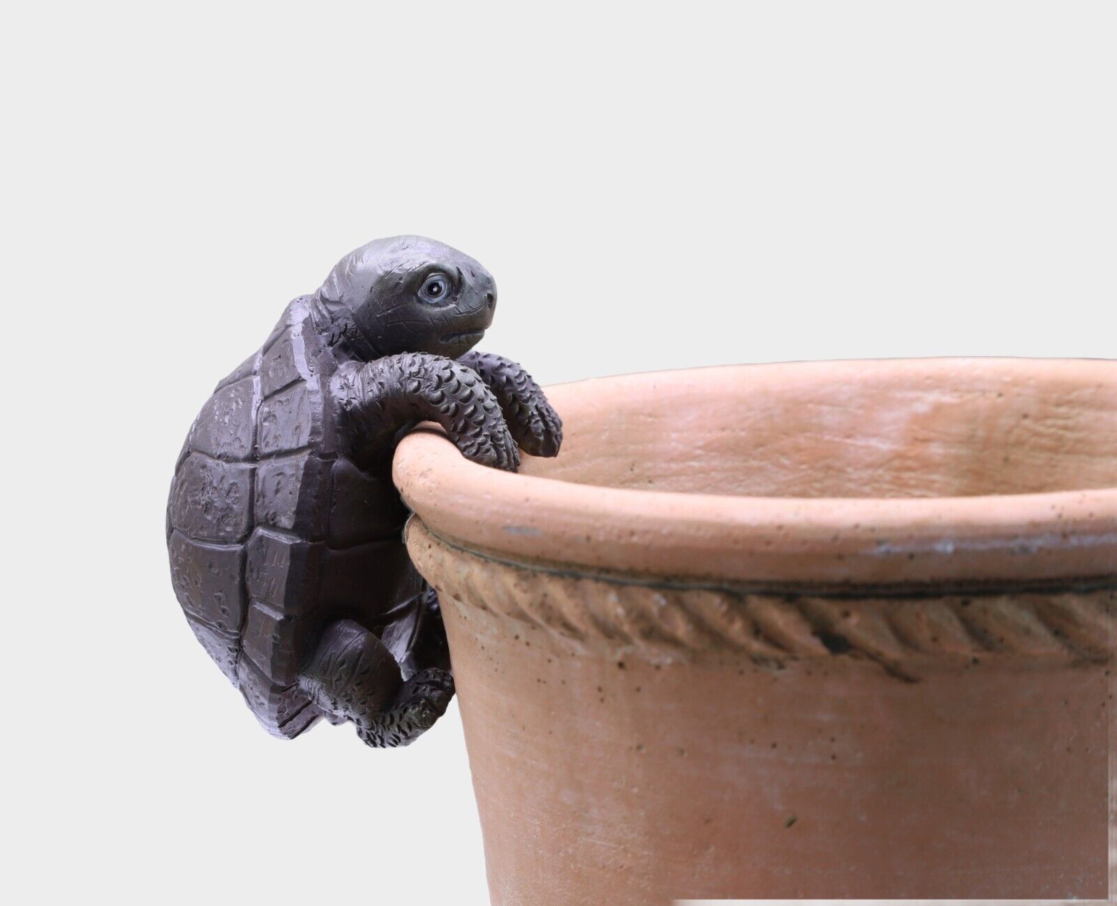 Tortoise Plant Pot Hanger Pot Climber 8cm Turtle Sealife Aqua Home Garden Decor