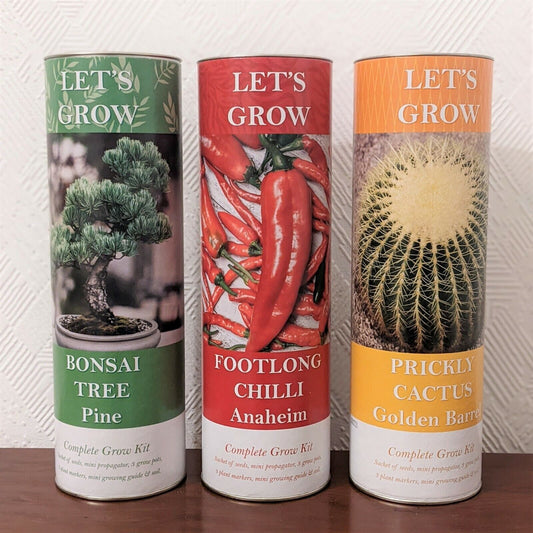 Grow Your Own Cactus Bonsai Chillies Seed Plants At Home Starters Grow Kit 