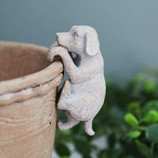 Labrador Pup Plant Pot Hanger Nat Climber Animal Design Home Garden Decor