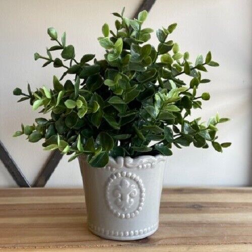 11cm Vintage Grey Ceramic Plant Pot Fleur De Lis Indoor Planter Cover Jar