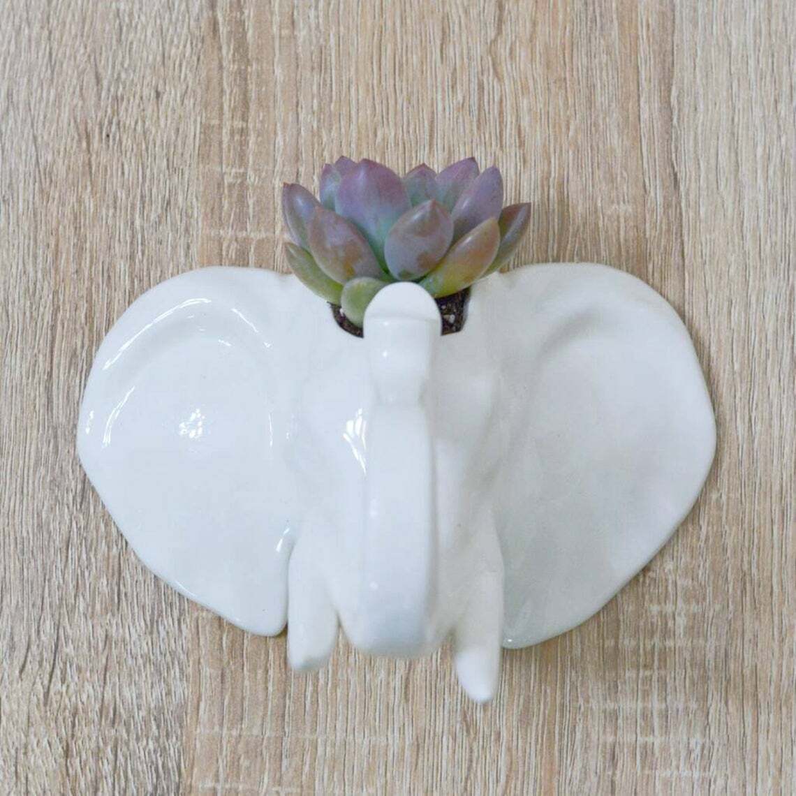 White Ceramic Elephant Head Wall Hanging Plant Pot Flower Herbs Kitchen Planter