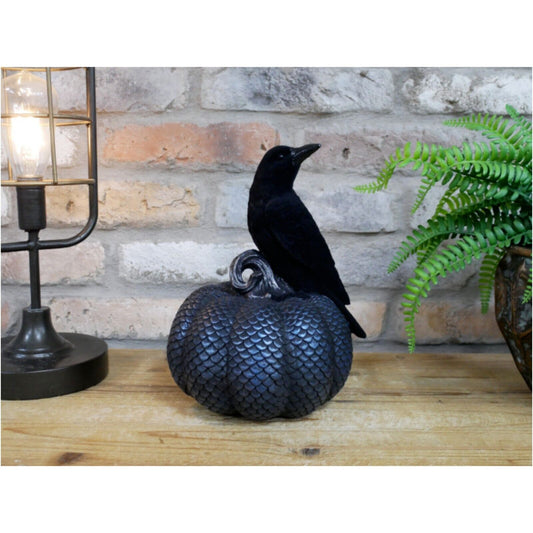 Black Resin Crow on Pumpkin Spooky Halloween Autumn Shelf Sitter Ornament Decor