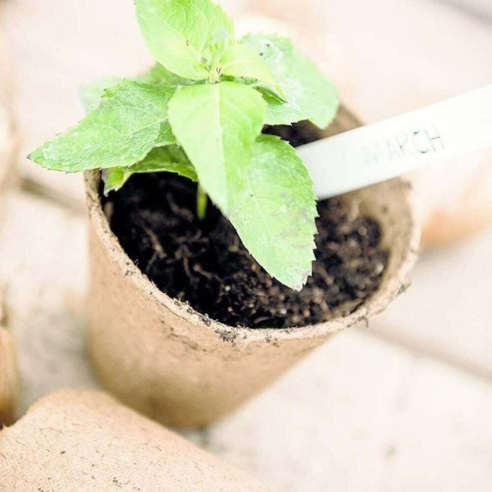 84Pcs Nursery Cup Plant Pot 6cm Round Pulp Peat Biodegradable Fibre Herb Pots