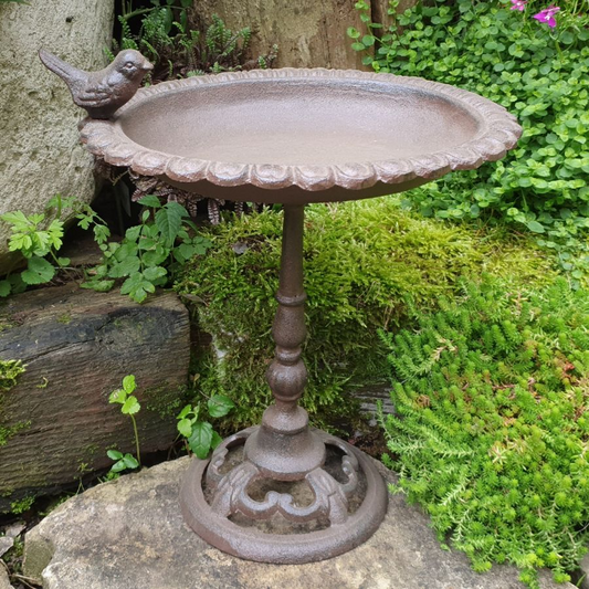 Cast Iron 29cm Tall Bird Bath Feeder for Small Birds Rustic Aged Style Ornate