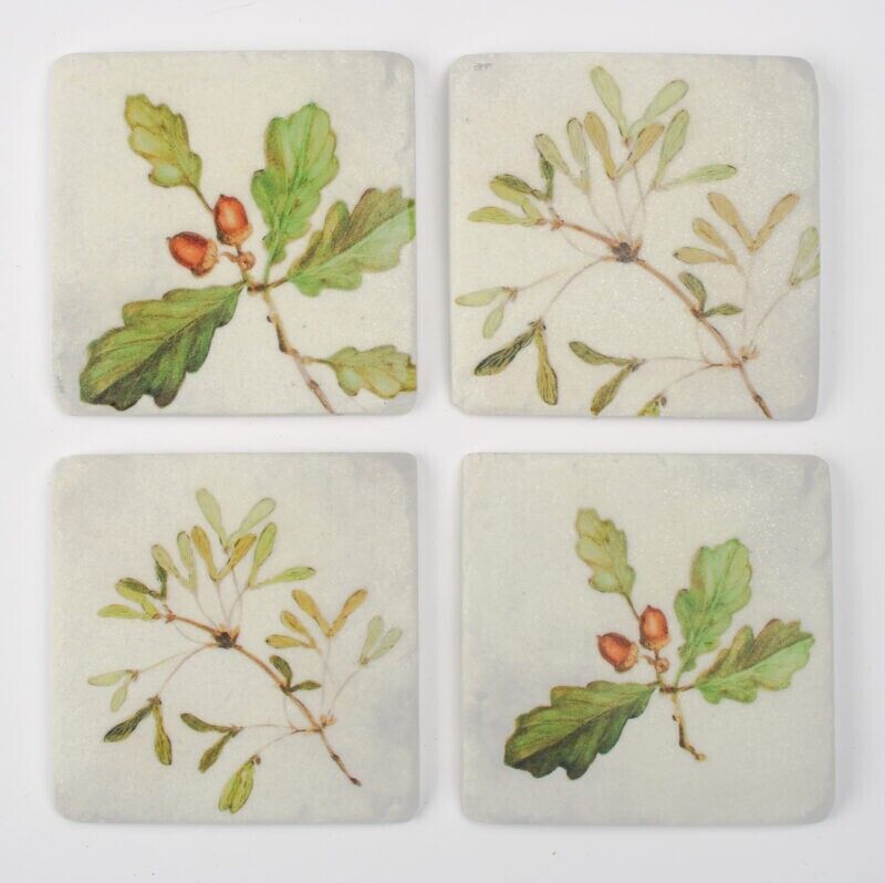 Ceramic Coasters Set of 4 Oak Tree Cork Backed Coasters Table Decor Mats