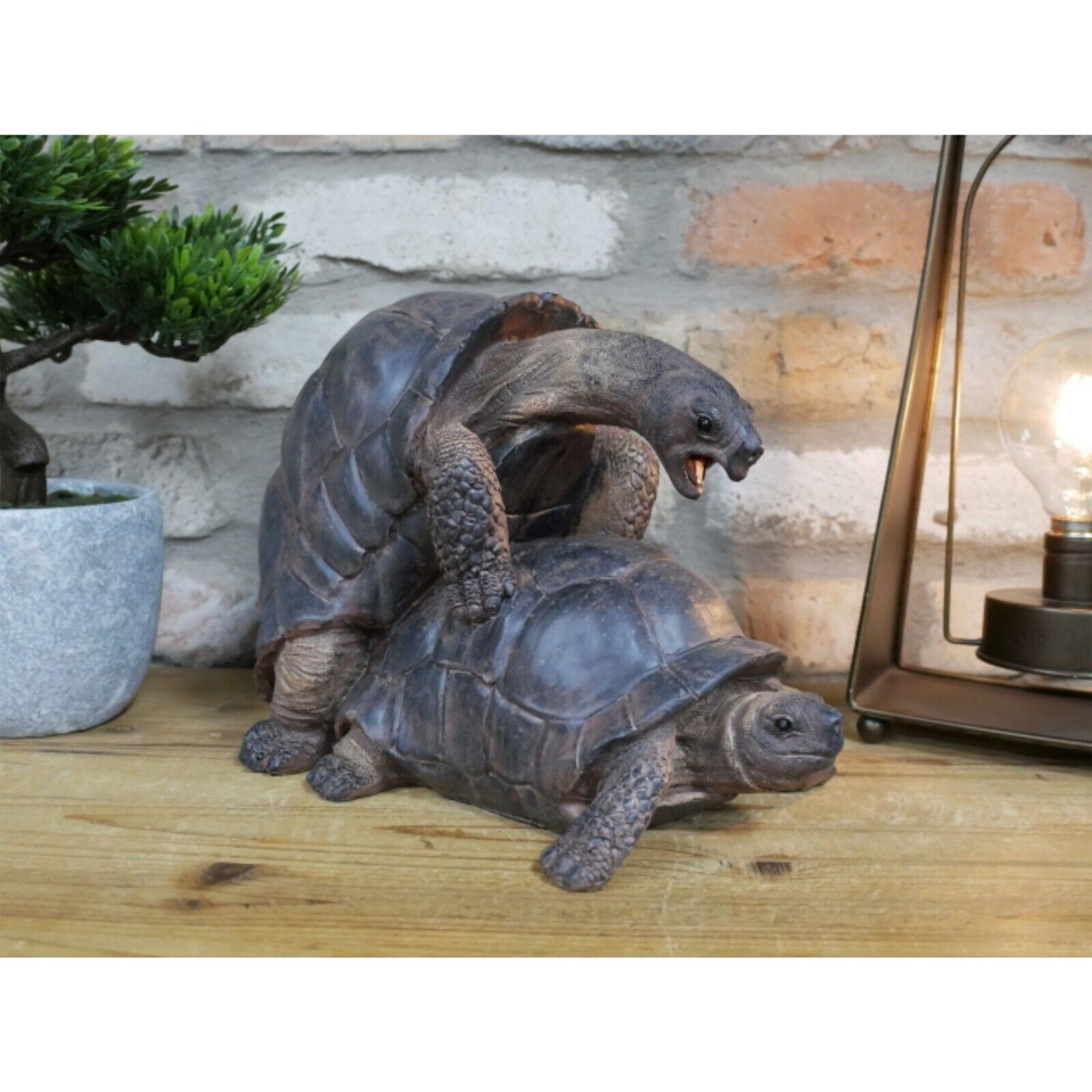 Resin Grey Happy Tortoises Cheeky Funny Mating Turtles Shelf Sitters Ornaments