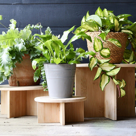 Wooden Plant Pot Stands FSC Certified Wood Planters Holders Indoor Home Decor