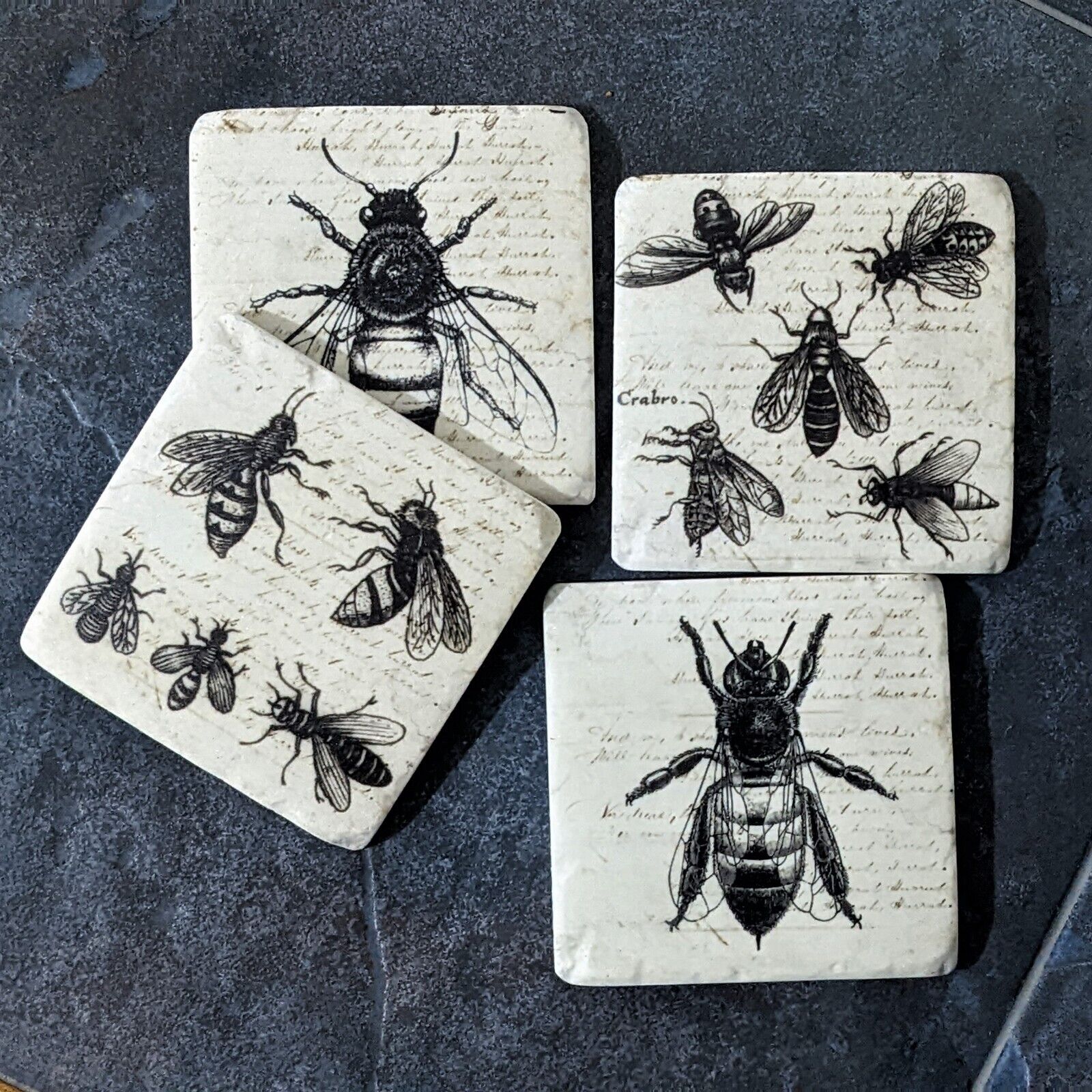 Ceramic Coasters Set of 4 Bees Flies Cork Backed Coasters Table Mats Protectors